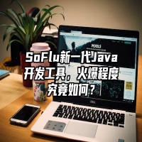 SoFlu新一代Java开发工具，火爆程度究竟如何？