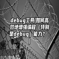 debug工具(如何高效地增强编程（特别是debug）能力？ )