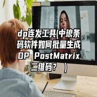 dp连发工具(中琅条码软件如何批量生成DP PostMatrix二维码？ )